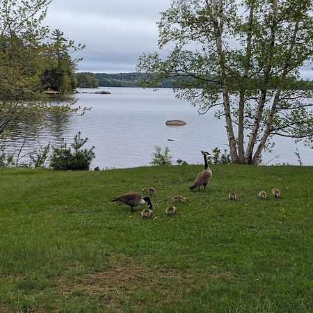 Alamoosook Lakeside Inn Orland Dış mekan fotoğraf